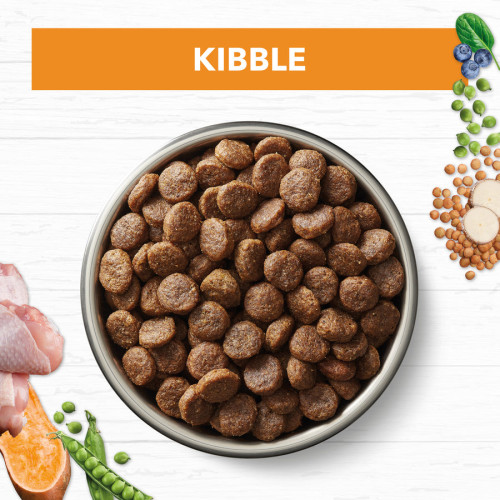 Ivory Coat DOG 狗糧 Grain Free【Turkey】Mature Dog 無穀物 低脂火雞肉 老年犬 13kg (訂貨需時3-5天)(IST13)